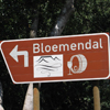Weingut Bloemendal