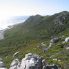 Im Table Mountain National Park