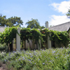Spier