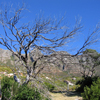 Beim East Fort