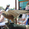Helga und ein junger Adler