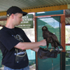 André mit großem Adler