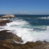 Hermanus